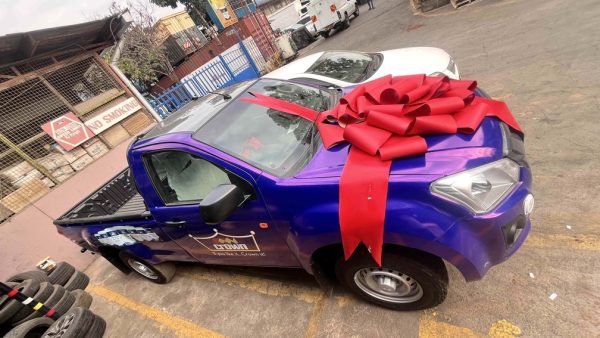 red Car Bow on Car