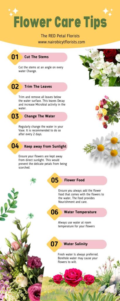 infographic to show how to care for fresh flowers