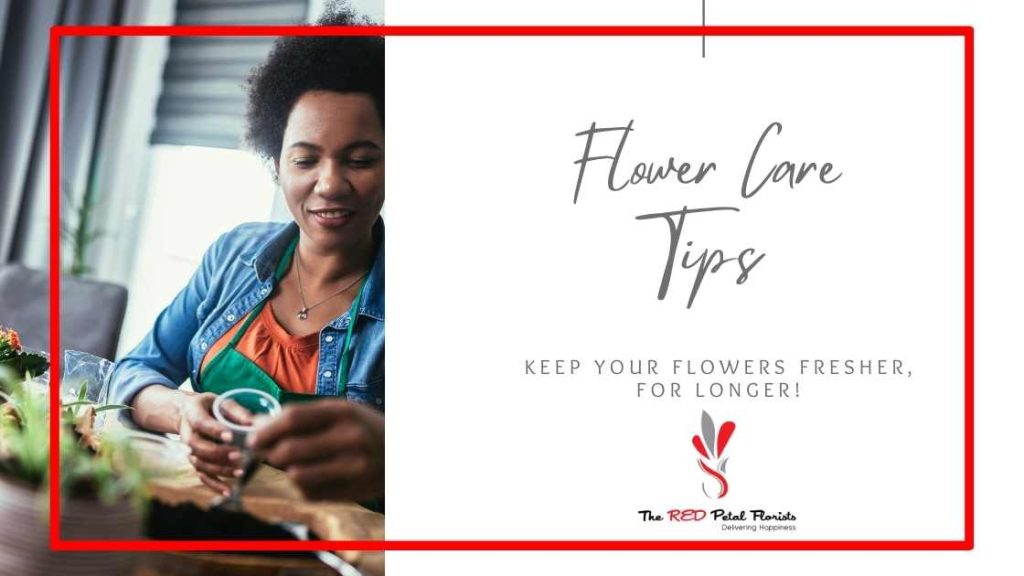 Flower Care tip. Know how to take care of your flowers