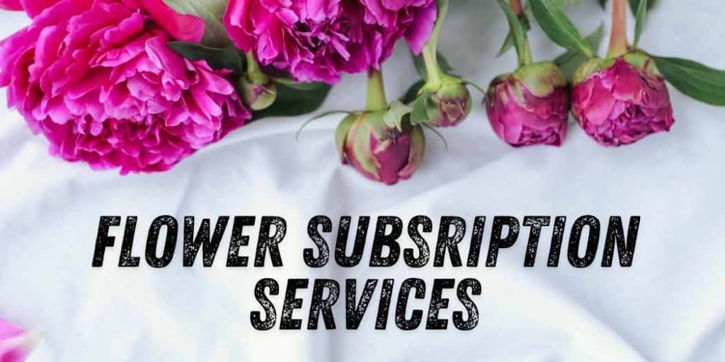 flower subscription services