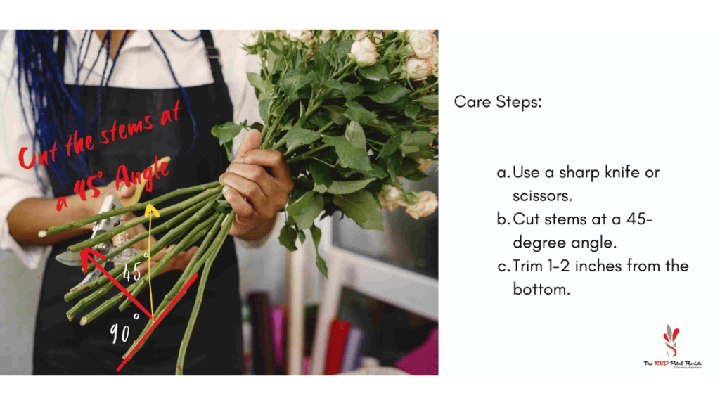 cut the stems at 45° angle as a better floral care tip