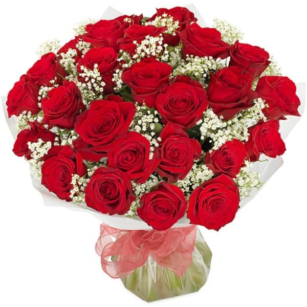 red roses valentine