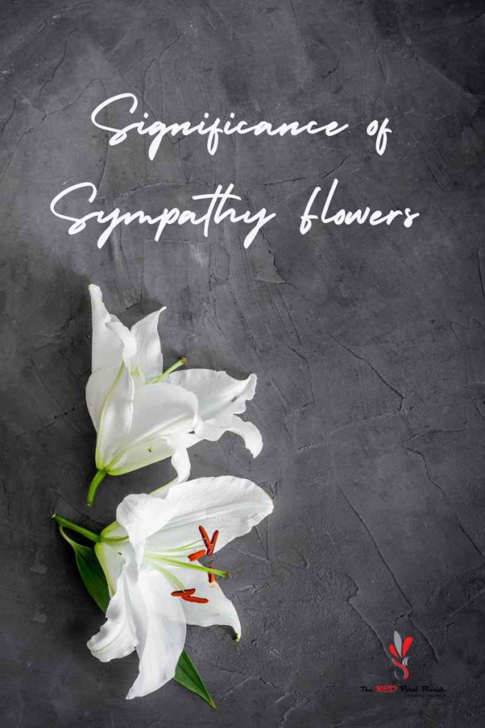 significance of Sympathy Flowers