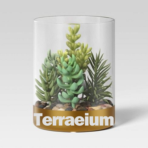 Terrariums